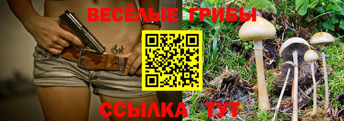 Галлюциногенные грибы ЛСД  Вход с VPN  Псилоцибиновые грибы Magic Shrooms  Благовещенск 