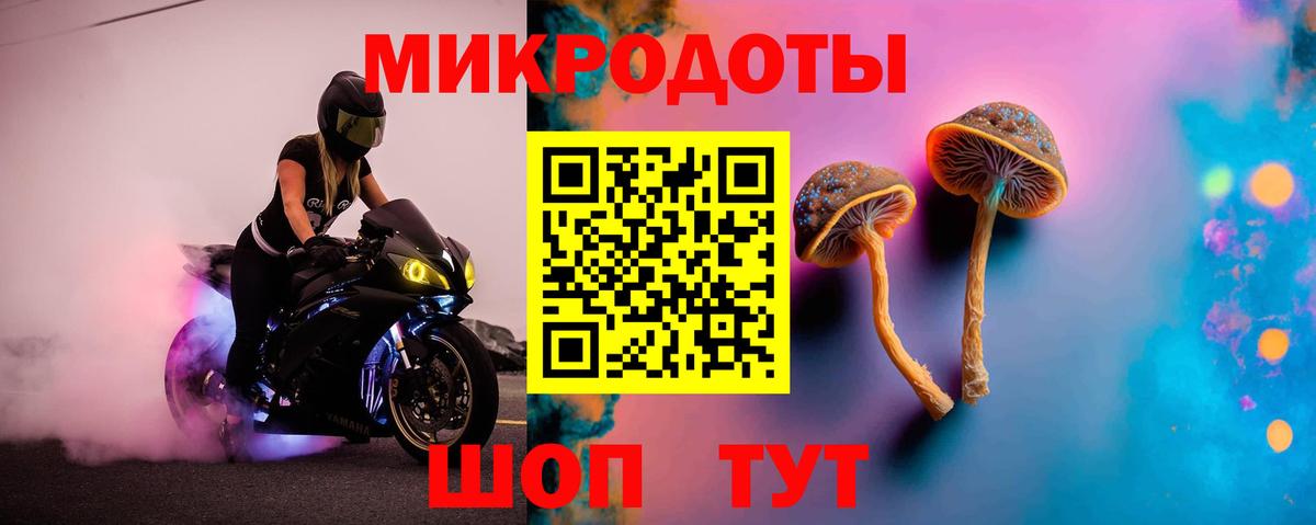 Псилоцибиновые грибы прущие грибы Благовещенск
